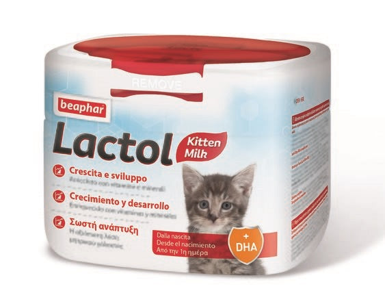 V LACTOL KITTY MILK 200GR POLV - Lovesano