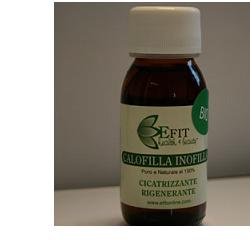 CALOFILLA TAMANU 100ML OLIO EF - Lovesano