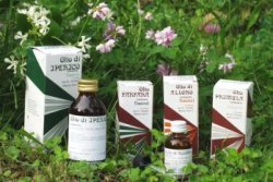 Raemil Primula Olio 25 Ml - Lovesano