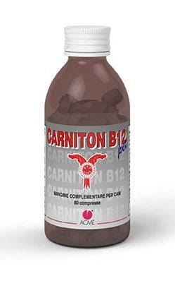 CARNITON B 12 80CPR - Lovesano