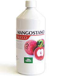 MANGOSTANO SUCCO 1L - Lovesano