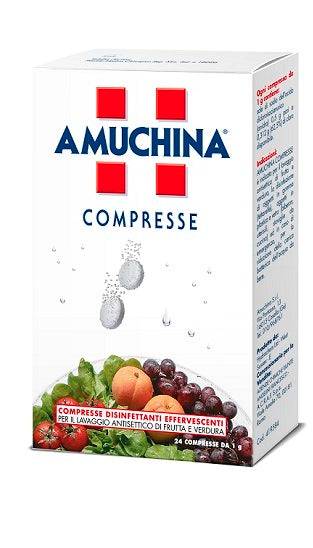 AMUCHINA COMPRESSE 1G 24PZ - Lovesano