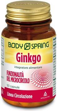 BS GINKGO 120MG 50CPS BSP - Lovesano