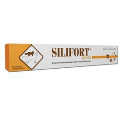 SILIFORT PASTA OS SIRINGA 15G - Lovesano