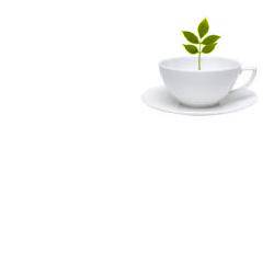 TISACELL Misc.Erbe 100g - Lovesano