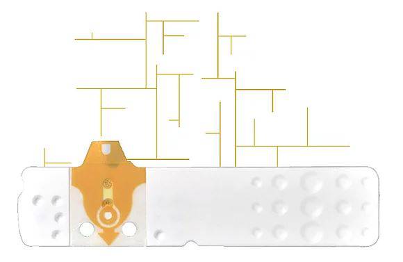 LINEA D Oro 50 Str.Glicemia - Lovesano