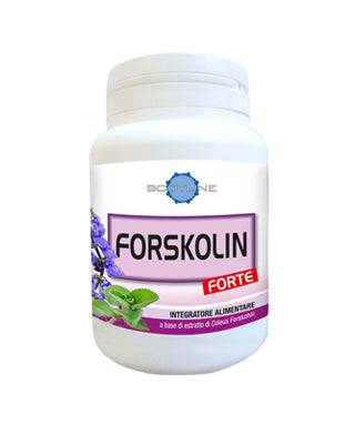 FORSKOLIN FORTE 60CPS - Lovesano