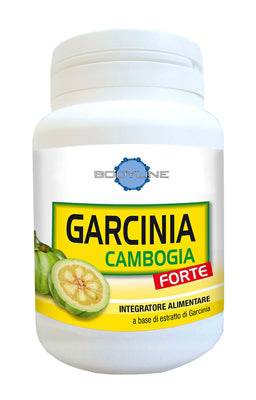 GARCINIA CAMBOGIA FORTE 60CPS - Lovesano