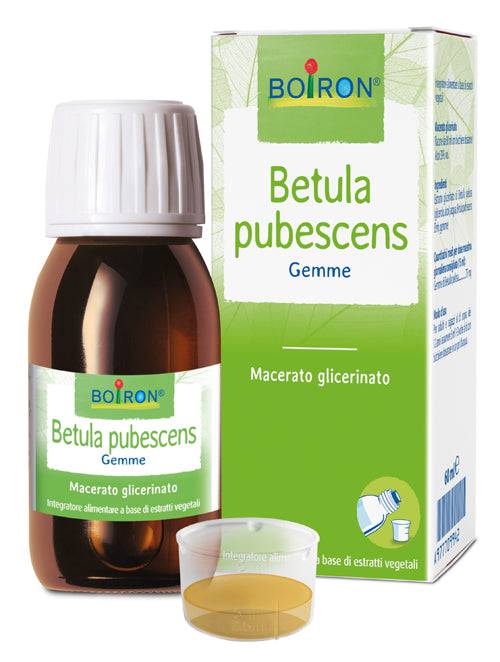 BETULA PUB BOI MG 60ML INT - Lovesano