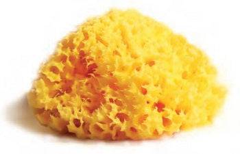 SPUGNA NAT MEDITE LAB ATENEI14 - Lovesano