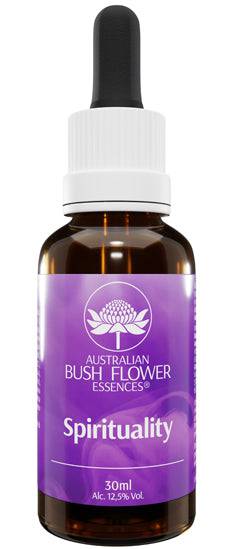 SPIRITUALITY ESS 30ML GTT - Lovesano