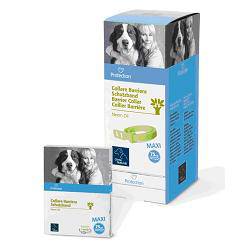 PROTECTION COLLARE CANE 75CM - Lovesano
