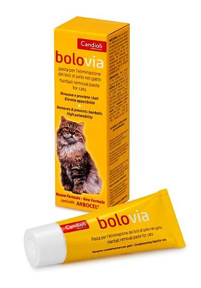 BOLO VIA PASTA GATTI 25G - Lovesano