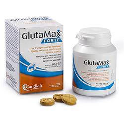 GLUTAMAX Fte 40 Cpr - Lovesano