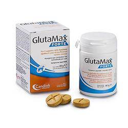 GLUTAMAX FORTE 20CPR - Lovesano