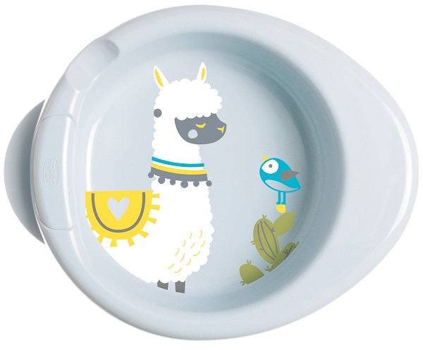 CH PIATTO PAPPACALDA 6M+ VERDE - Lovesano