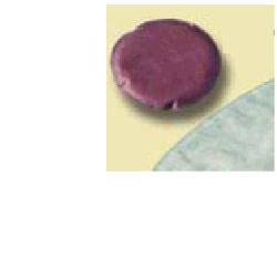 ALTERNA MIO URO 28080 MINICAP5 - Lovesano