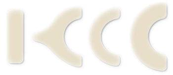 COLOPLAST 12076 IDROCOLL XL - Lovesano