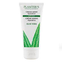 PLANTERS CR MANI ALOE VERA NEW - Lovesano