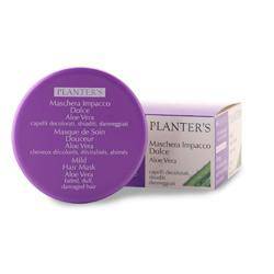 PLANTER - Lovesano S MASCHERA IMP DOLCE A - Lovesano