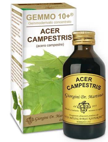 ACERO CAMP 100ML ANALCO GEM10+ - Lovesano