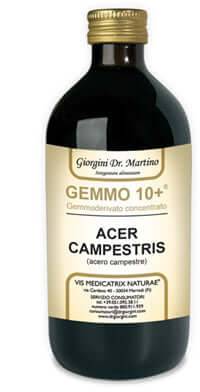 ACERO CAMP 500ML ANALCO GEM10+ - Lovesano