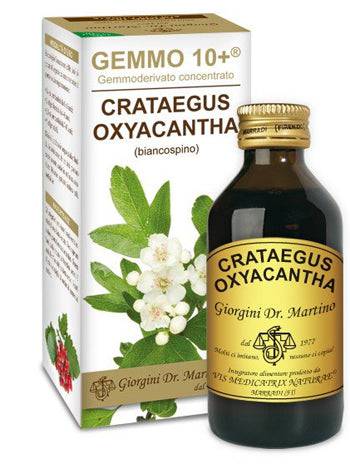 BIANCOSPINO 100ML ANALC GE 10+ - Lovesano