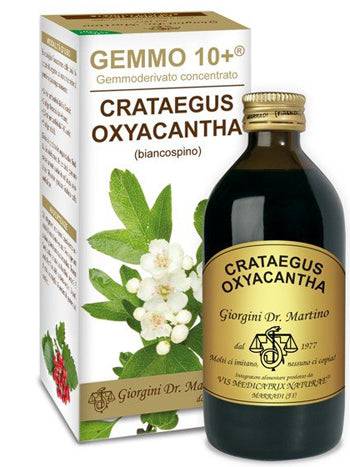 BIANCOSPINO 200ML ANALC GE 10+ - Lovesano