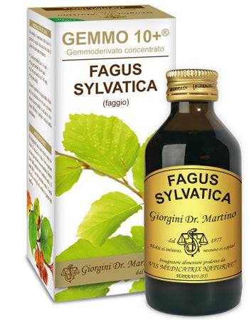 FAGGIO 100ML ANALCO GEMMO 10+ - Lovesano