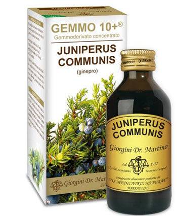 GINEPRO 100ML ANALCO GEMMO 10+ - Lovesano