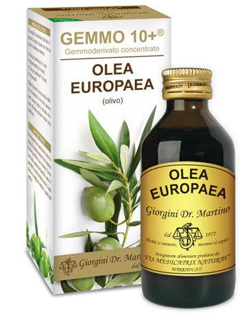 OLIVO 100ML ANALCO GEMMO 10+ - Lovesano