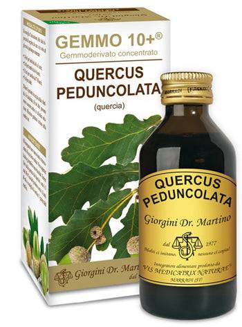 QUERCIA 100ML ANALCO GEMMO 10+ - Lovesano
