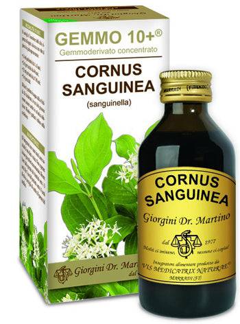 SANGUINELLA 100ML ANAL GEM 10+ - Lovesano