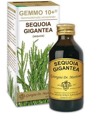 SEQUOIA 100ML ANALCO GEMMO 10+ - Lovesano