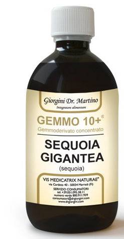 SEQUOIA 500ML ANALCO GEMMO 10+ - Lovesano