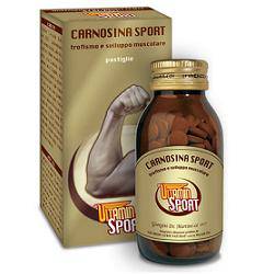 CARNOSINA SPORT VIT 90G PAST - Lovesano