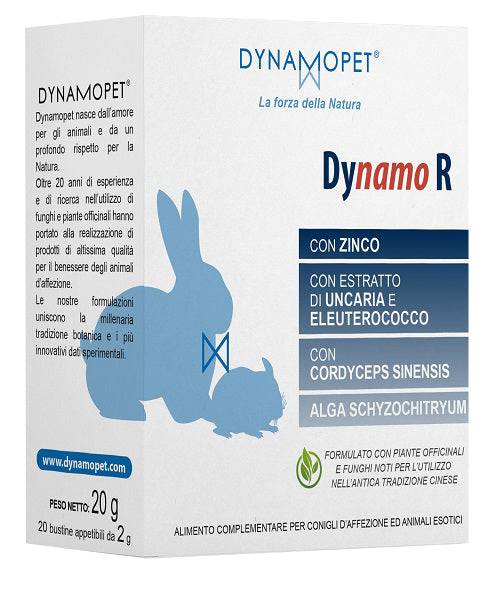 DYNAMO R 20BUST 2G - Lovesano