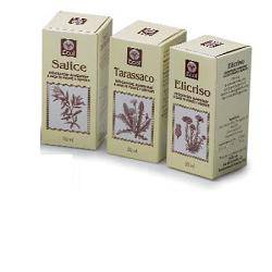 TE VERDE 50ML GTT - Lovesano