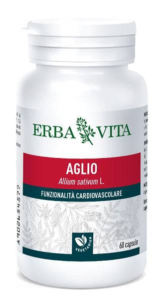 AGLIO 60CPS 500MG - Lovesano