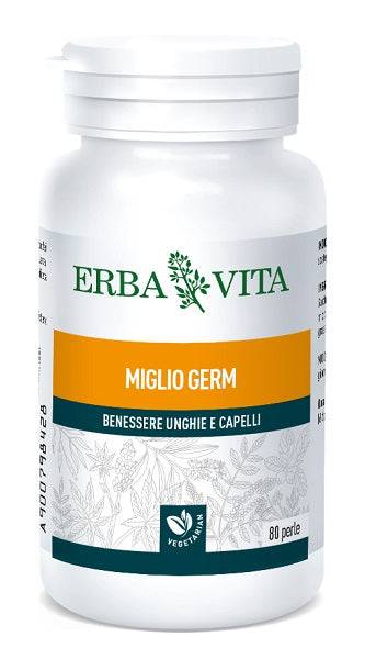 MIGLIO GERM 80PRL EBV - Lovesano