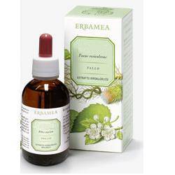 GINKGO BILOBA FOGLIE EI 50ML - Lovesano
