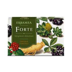 FORTE 24 Cps EBM - Lovesano