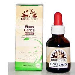 FITOBLASTO FICUS CARICA 50ML - Lovesano