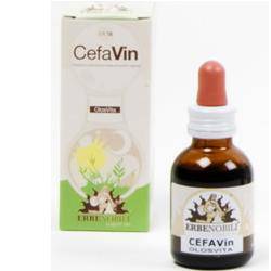 CEFAVIN OLOSVITA 50ML - Lovesano
