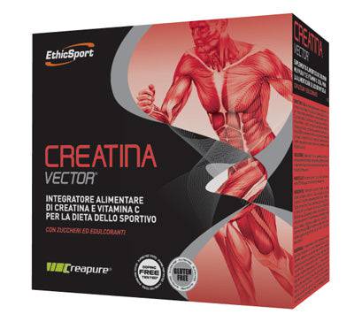 CREATINA VECTOR 20BUST 8G - Lovesano