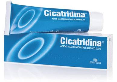 CICATRIDINA-POMATA 60G - Lovesano