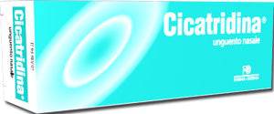 CICATRIDINA UNGUENTO NAS 15G - Lovesano