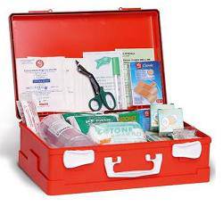 FARMACARE Pronto Socc.Cassetta PS 388 +3 Alleg.1 - Lovesano