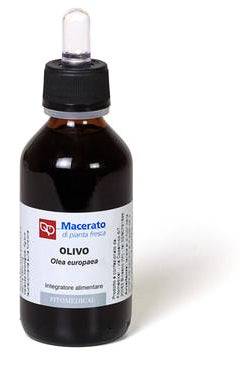 OLIVO TM BIO 100ML - Lovesano