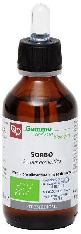 SORBO MG BIO 100ML - Lovesano
